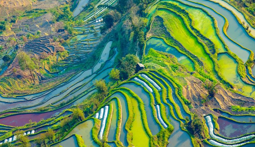 宝妈必备神器：下陆区产品视频拍摄轻松育儿好帮手