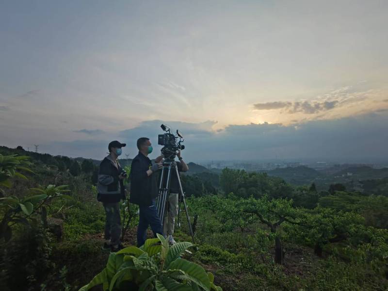 创意破圈！下陆区电商产品宣传视频用故事化叙事引爆流量
