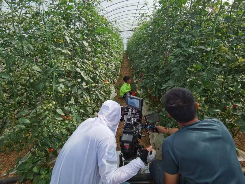 下陆区产品宣传视频拍摄公司进阶指南，助力品牌抢占传播高地